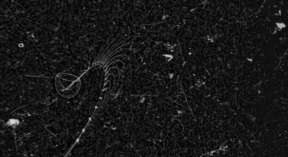 51d1bd823ae74008a4000c10