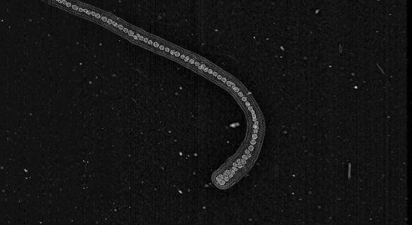 51d1bd833ae74008a4001258