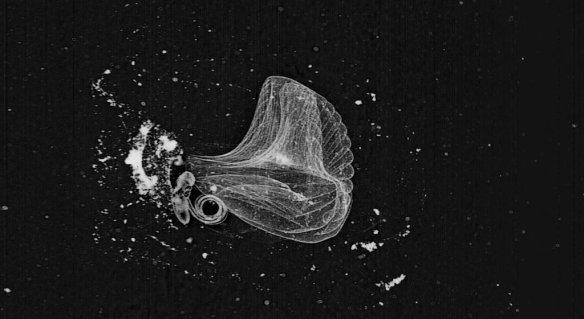 51d1bd8a3ae74008a40049ff