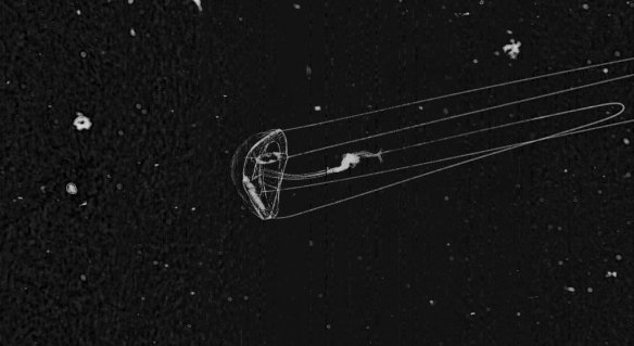 51d1bd943ae74008a4009b1e