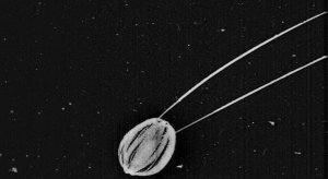 51d1bd833ae74008a40013bd