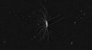 51d1bd853ae74008a400264a