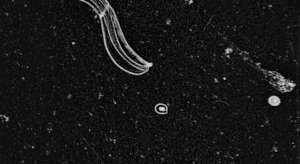 51d1bd893ae74008a400410f