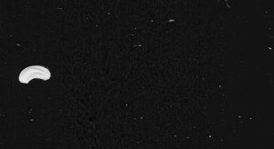 51d1bd983ae74008a400c137