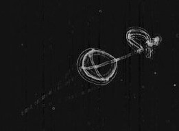 51d1bd993ae74008a400c49e