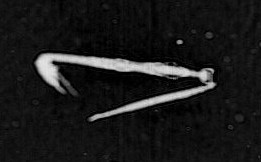 51d1bd993ae74008a400c7d0