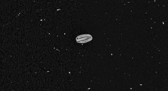 51d1bd993ae74008a400ca6a