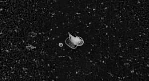 51d1bda13ae74008a40111d7