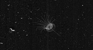 51d1beea3ae74008a405d135