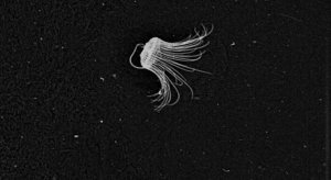 51d1befc3ae74008a40653ad