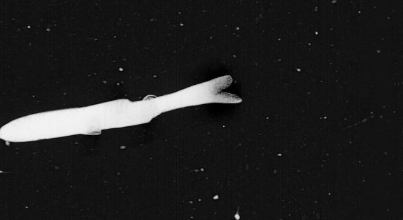 51d1bdbb3ae74008a401f9d7