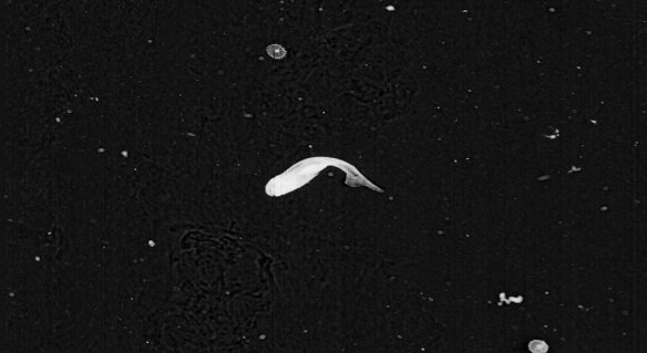 51d1be4b3ae74008a403ec4f