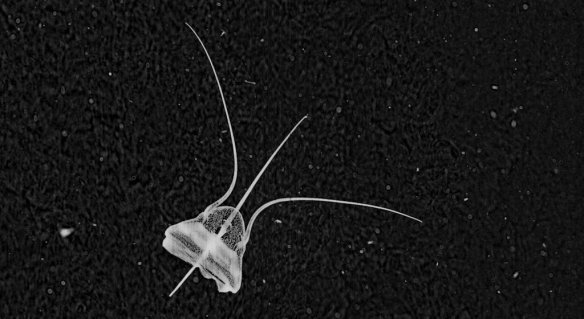 51d1beec3ae74008a405df19-2