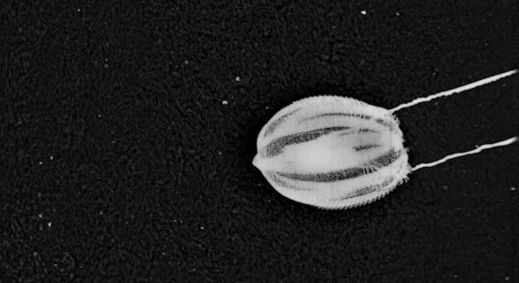 51d1beee3ae74008a405f27a