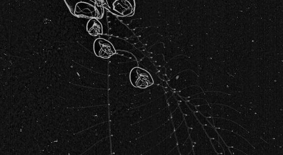 51d1bee33ae74008a405a4db