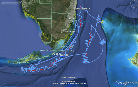 RV Walton Smith Tracks
