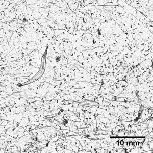 Just above the thin layer