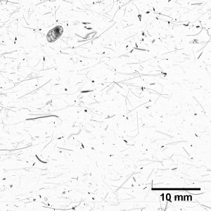 Image taken just below the thin layer